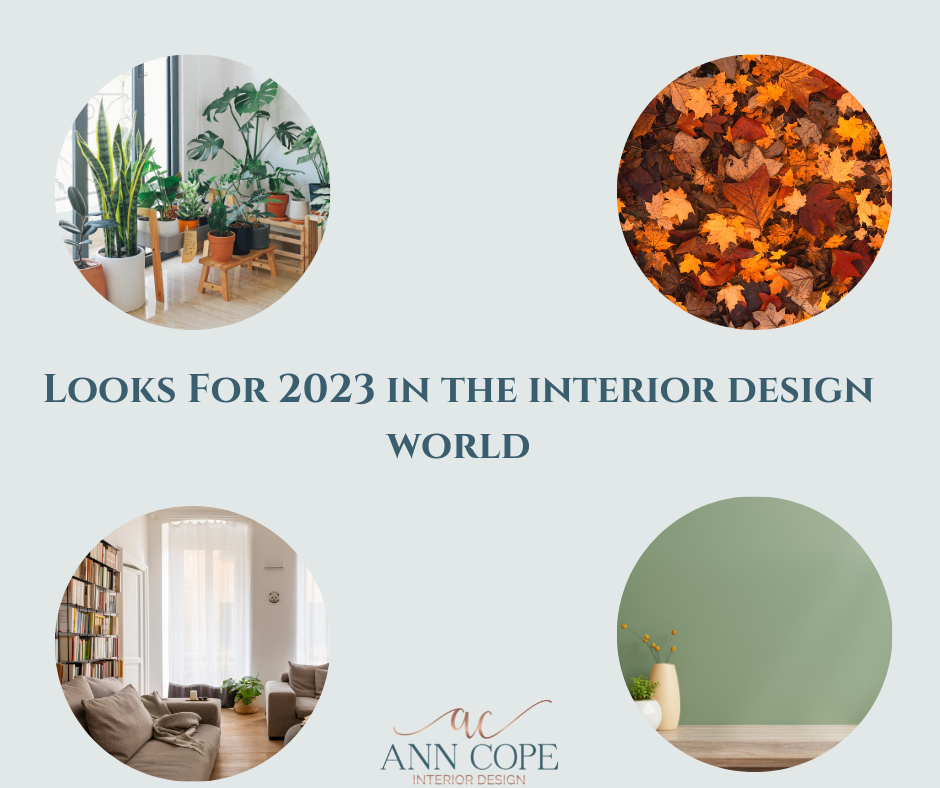 Looks for 2023 by Ann Cope