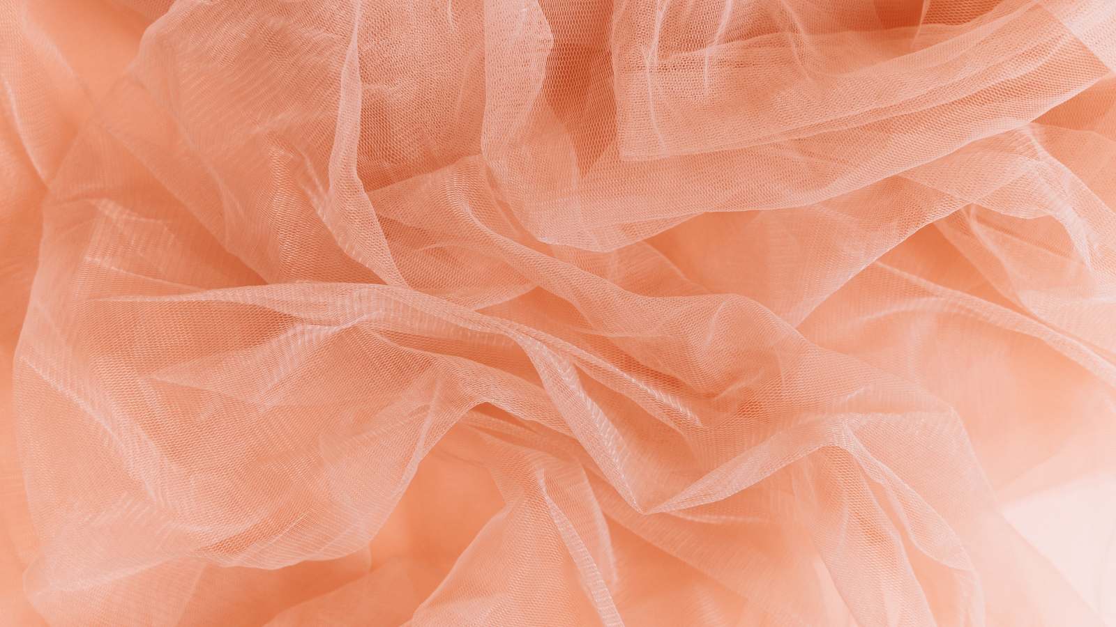 Peach Pantone by Ann Cope